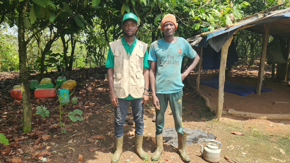 le PIF2 accélère les travaux de reboisement dans l’agro-forêt de Scio Sud